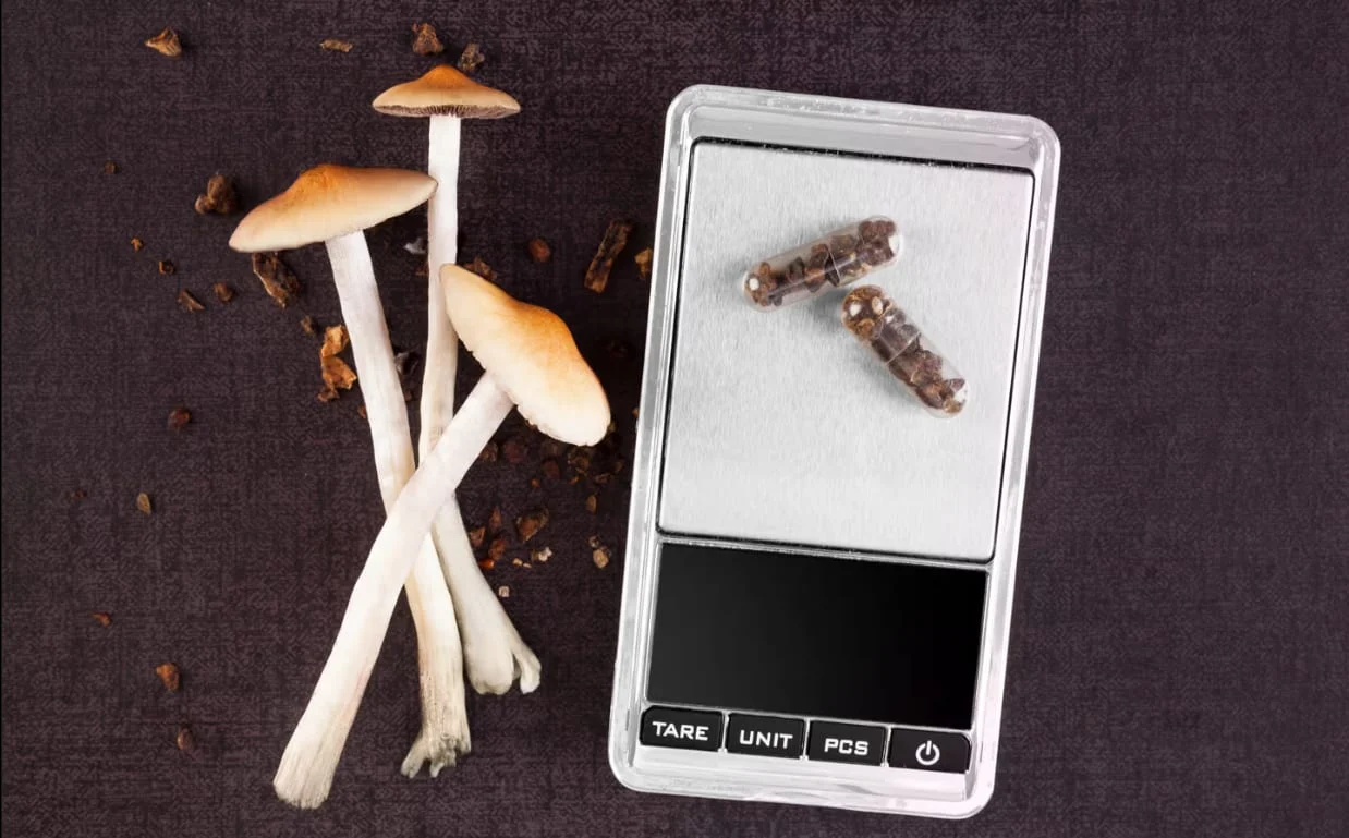 Dried mushrooms and capsules next to a digital scale